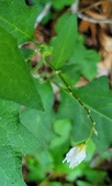 Enlarge photo 31