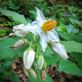 Enlarge photo 33