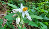 Enlarge photo 32
