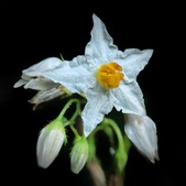 Enlarge photo 37