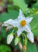 Enlarge photo 34