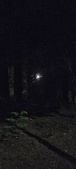 Enlarge photo 39