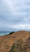 Enlarge photo 95