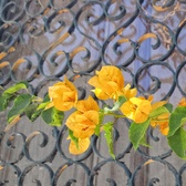 Enlarge photo 104