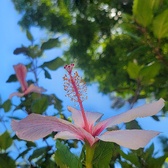 Enlarge photo 105