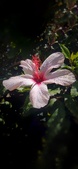 Enlarge photo 108
