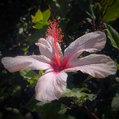 Enlarge photo 113