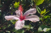Enlarge photo 109