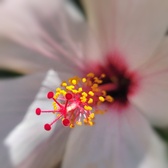 Enlarge photo 112