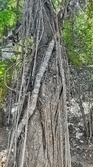 Enlarge photo 111