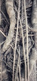 Enlarge photo 116