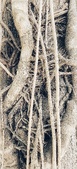 Enlarge photo 117