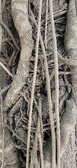 Enlarge photo 115