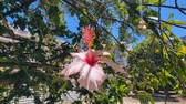 Enlarge photo 118