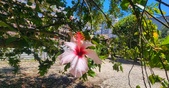 Enlarge photo 119