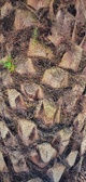 Enlarge photo 122