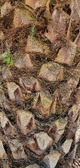 Enlarge photo 121