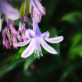 Enlarge photo 123