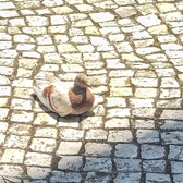 Enlarge photo 157