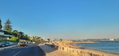 Enlarge photo 197