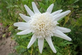 Enlarge photo 208