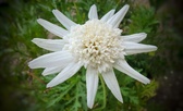 Enlarge photo 209
