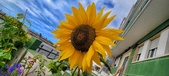 Enlarge photo 214