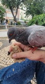 Enlarge photo 225