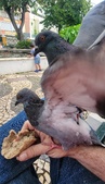 Enlarge photo 226