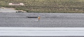 Enlarge photo 245