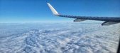 Enlarge photo 248