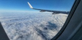 Enlarge photo 249