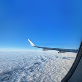 Enlarge photo 251
