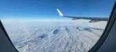 Enlarge photo 252