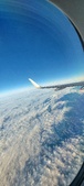 Enlarge photo 255