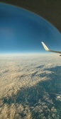Enlarge photo 257