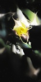 Enlarge photo 145