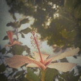 Enlarge photo 178