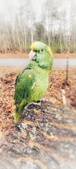Enlarge photo 12