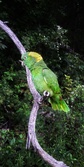 Enlarge photo 25