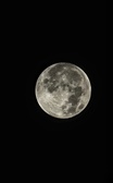 Enlarge photo 39