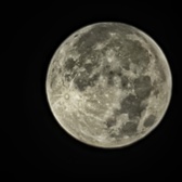 Enlarge photo 40