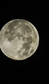 Enlarge photo 41