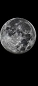 Enlarge photo 42