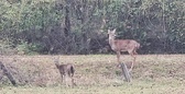 Enlarge photo 76