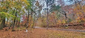 Enlarge photo 91