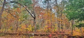 Enlarge photo 92