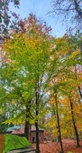 Enlarge photo 94