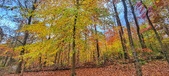 Enlarge photo 95