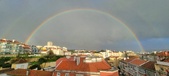 Enlarge photo 41